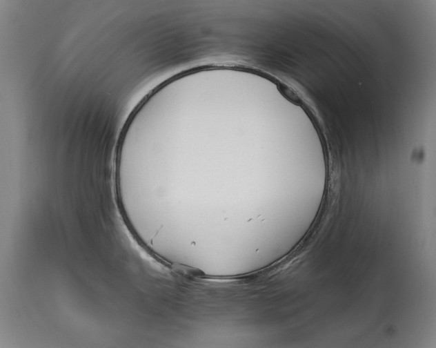 X0000114561343200911161215