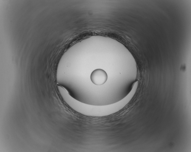 X0000114561345200911161214