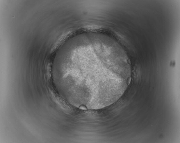 X0000114561346200911161214