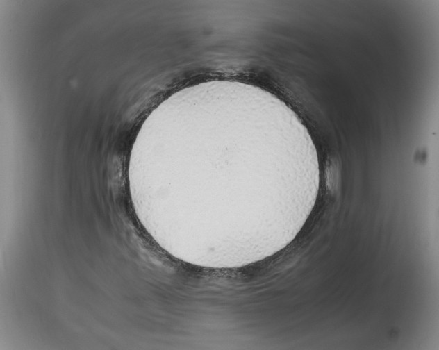 X0000114561347200911161214