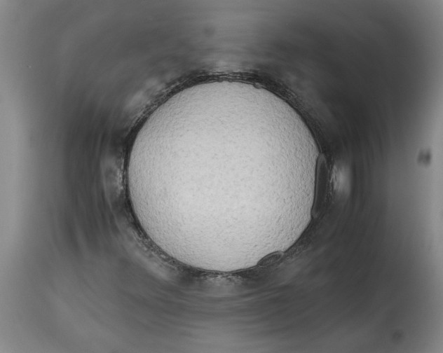 X0000114561348200911161214