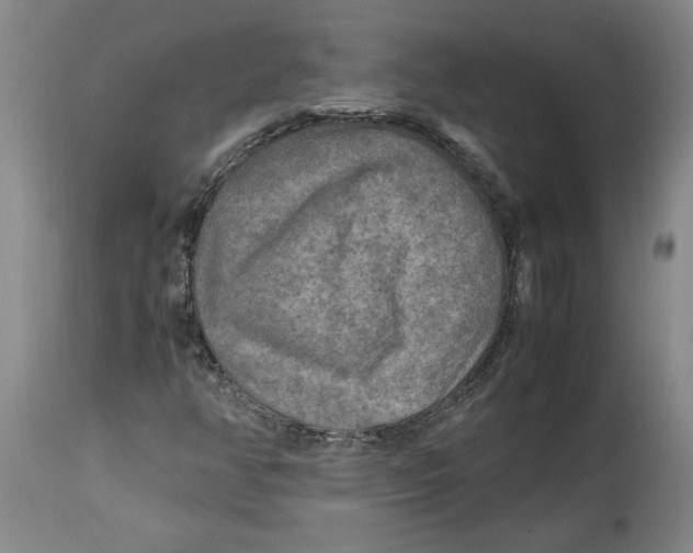 X0000114561350200911161214