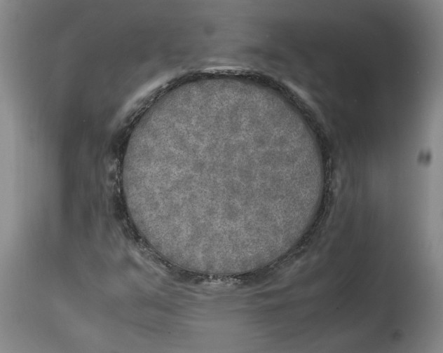 X0000114561351200911161214