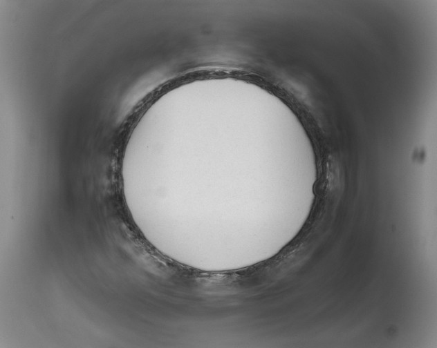 X0000114561352200911161214