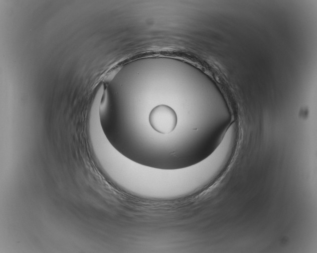 X0000114561353200911161214