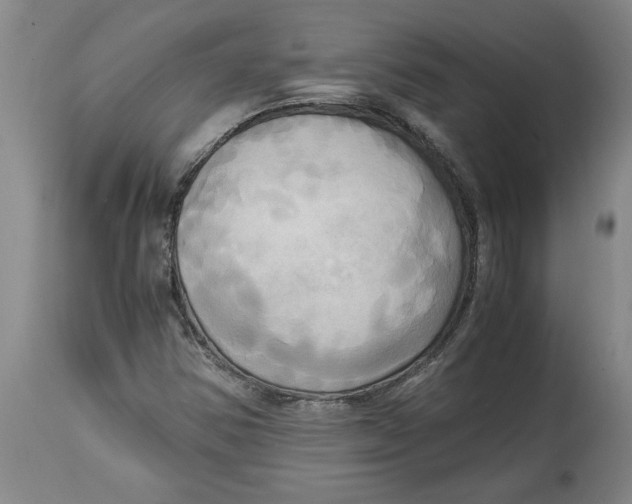 X0000114561354200911161214