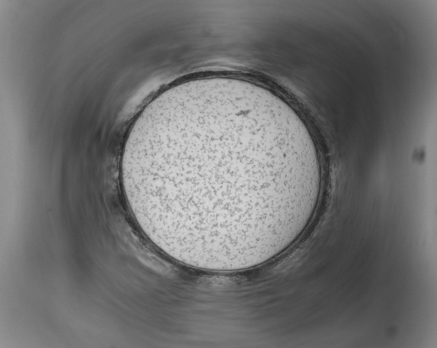 X0000114561355200911161214