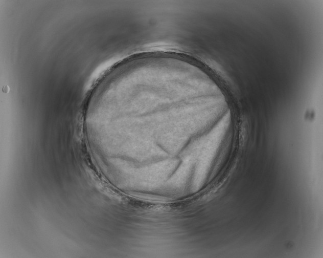 X0000114561358200911161214