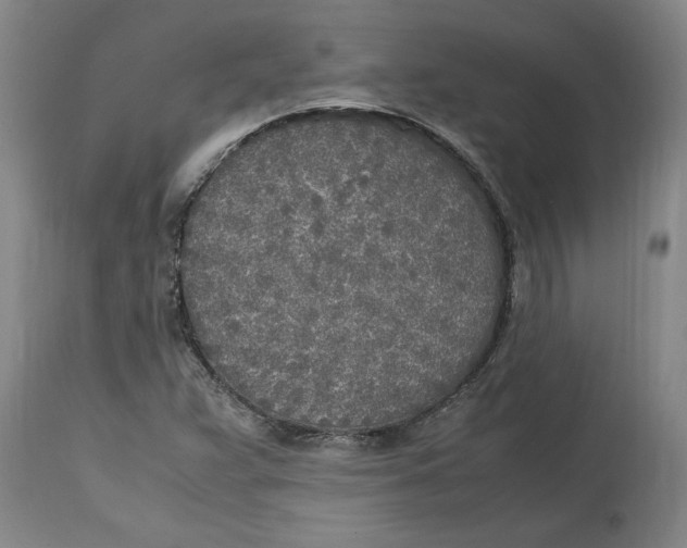 X0000114561359200911161214