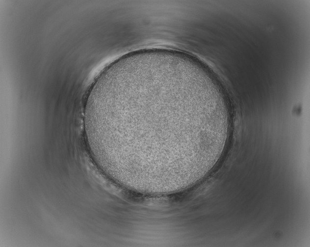 X0000114561363200911161214