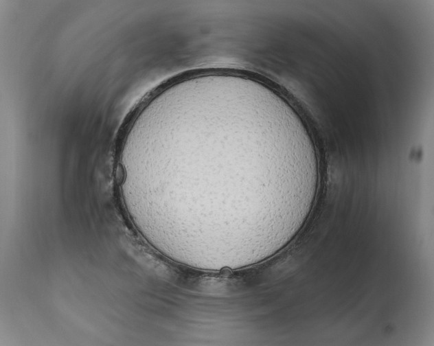 X0000114561364200911161214