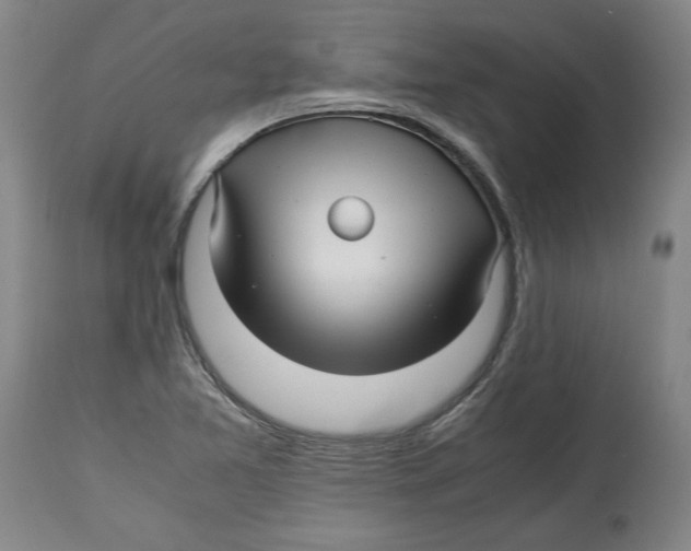 X0000114561365200911161214