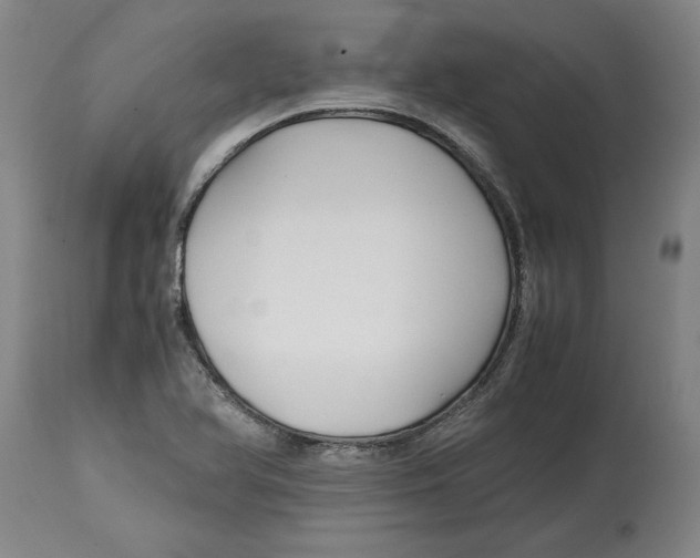 X0000114561366200911161214