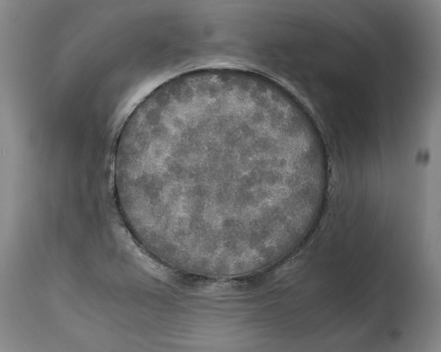 X0000114561367200911161214