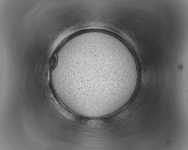 X0000114561368200911161214