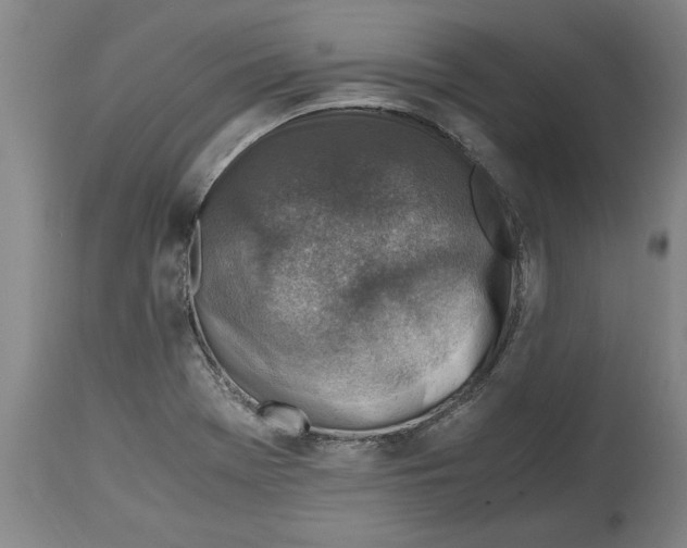X0000114561369200911161214