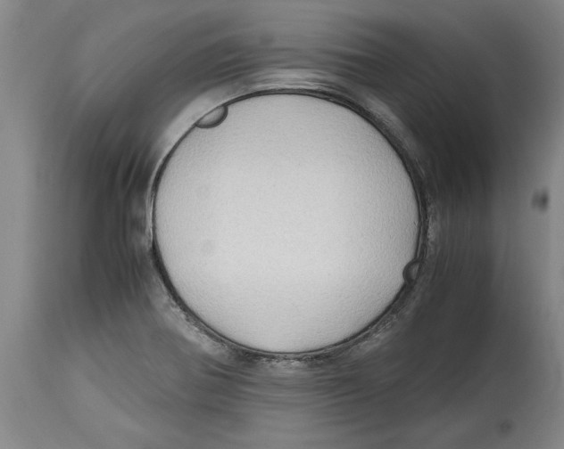 X0000114561370200911161214