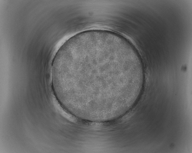 X0000114561371200911161214
