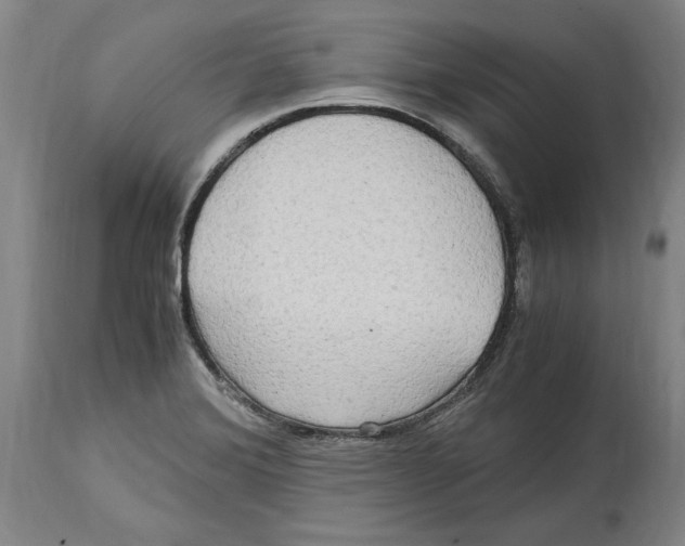 X0000114561372200911161214