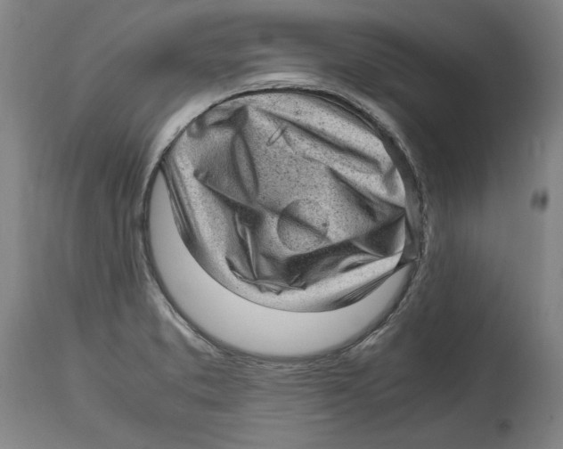 X0000114561373200911161214