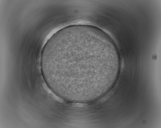 X0000114561374200911161214