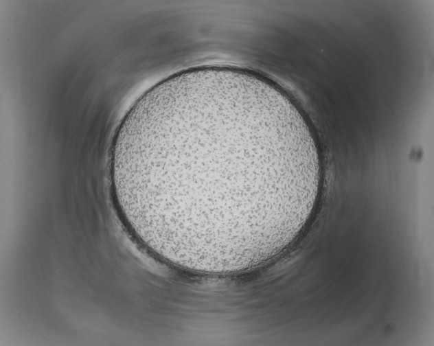 X0000114561375200911161214