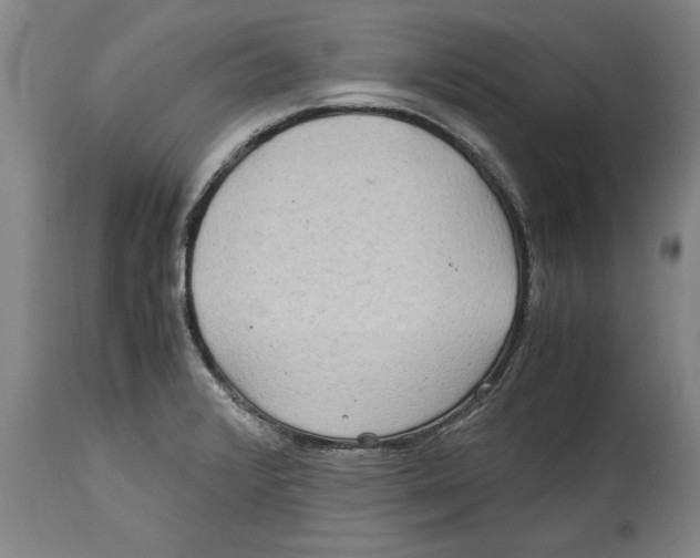 X0000114561376200911161214