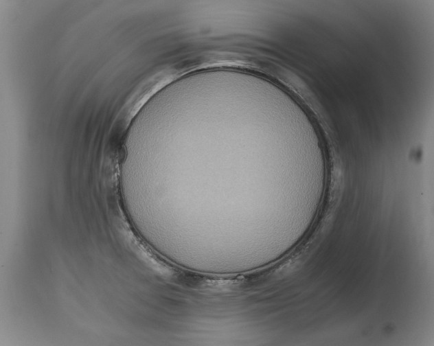 X0000114561377200911161214