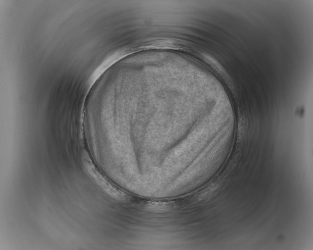 X0000114561378200911161214