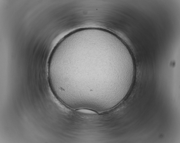 X0000114561380200911161213