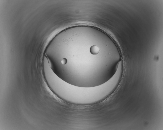 X0000114561381200911161213