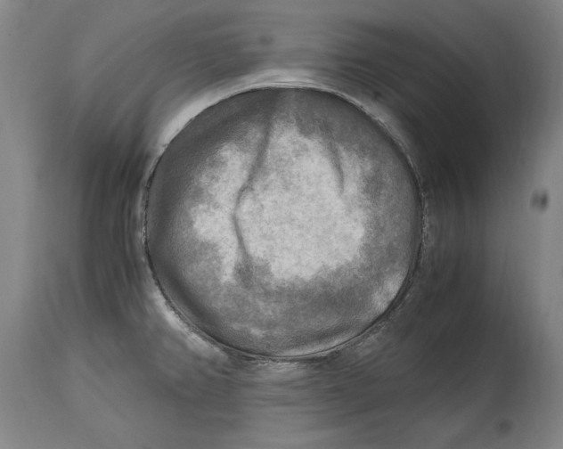 X0000114561382200911161213