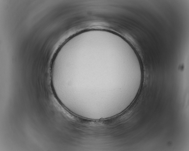 X0000114561384200911161213