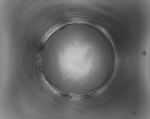 X0000114561385200911161213