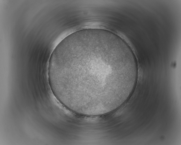 X0000114561386200911161213