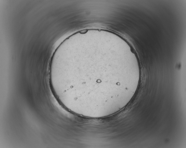 X0000114561387200911161213