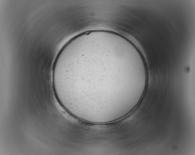 X0000114561388200911161213