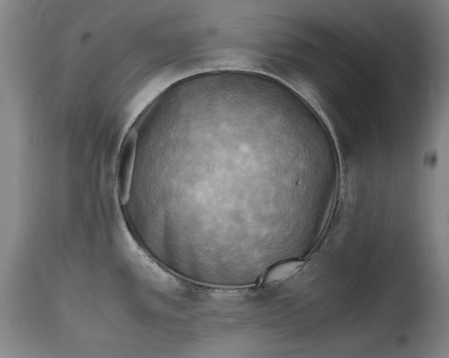 X0000114561389200911161213