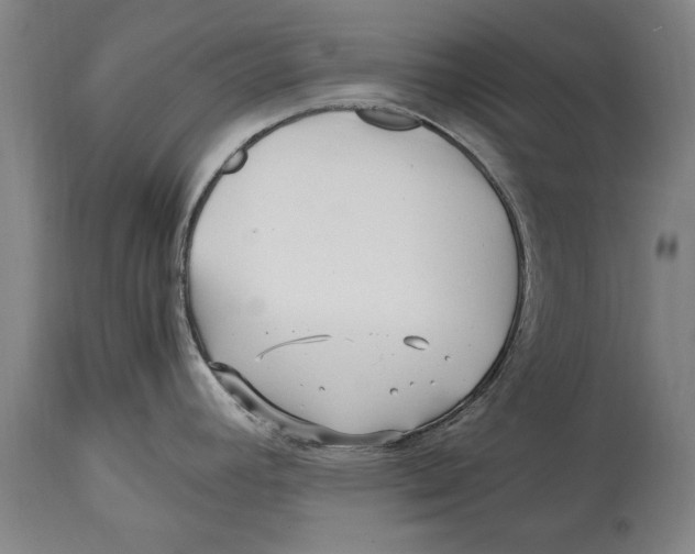 X0000114561392200911161213