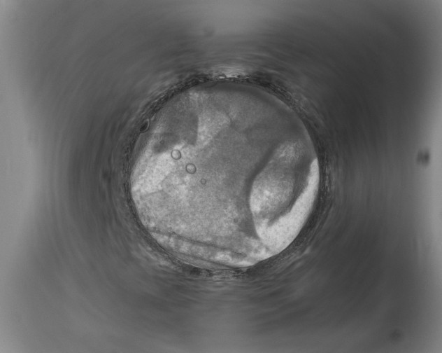 X0000114561393200911161212