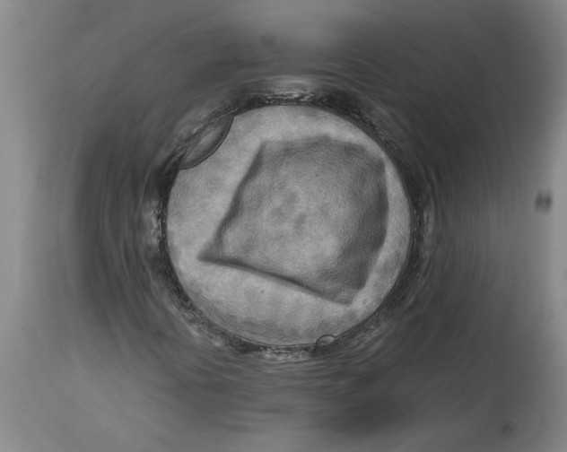 X0000114561394200911161213