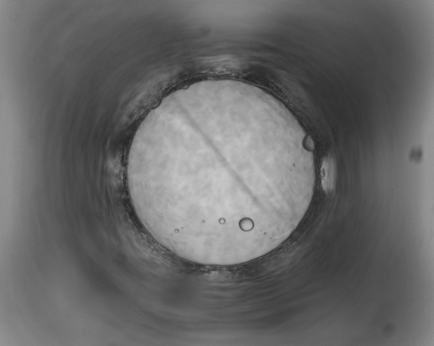 X0000114561395200911161213