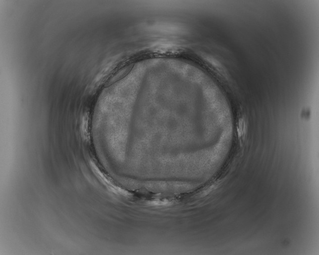 X0000114561396200911161213