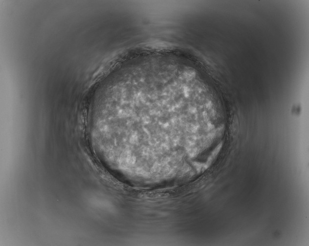X0000114561397200911161213