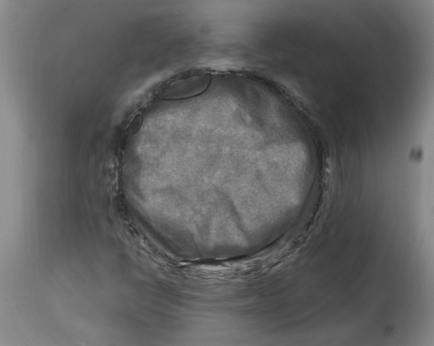 X0000114561398200911161213