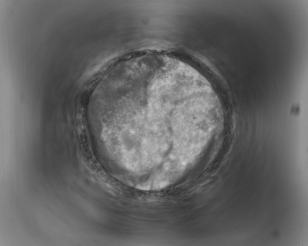 X0000114561399200911161213