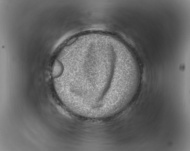 X0000114561400200911161213