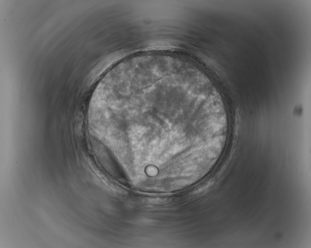 X0000114561401200911161213