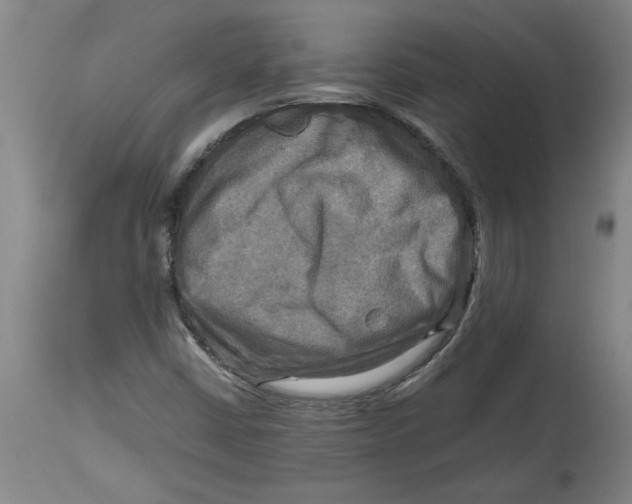 X0000114561402200911161213