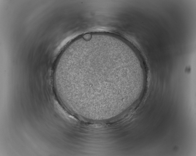 X0000114561404200911161213